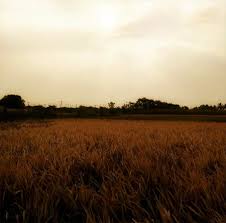 دانلود آهنگ درد علی اکبرموسوی